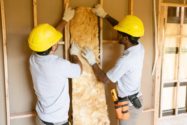 Professional Insulation Services in Hornsby Bend, TX